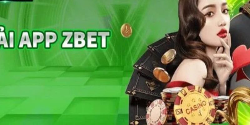 Lưu ý trong quá trình cài đặt Zbet