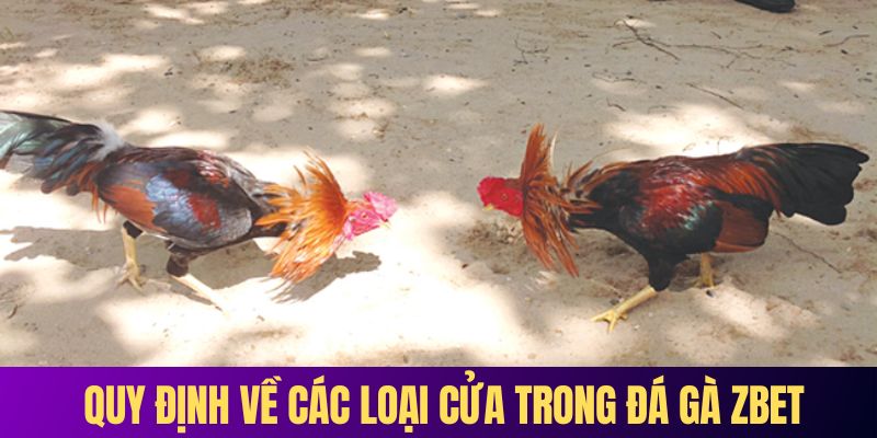 Quy định về các loại cửa trong đá gà ZBET