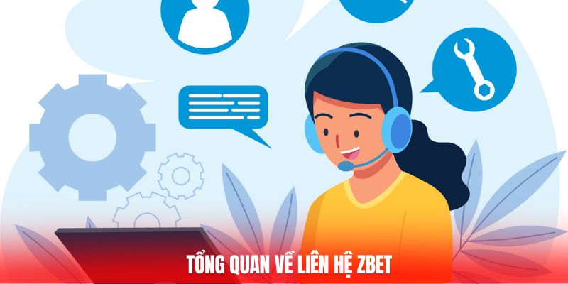 Tổng quan về liên hệ ZBET
